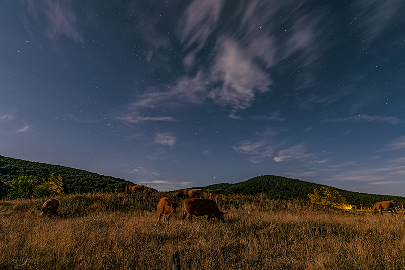 Jupiter garde les vaches de Cabrillac